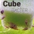 Cube Bacter